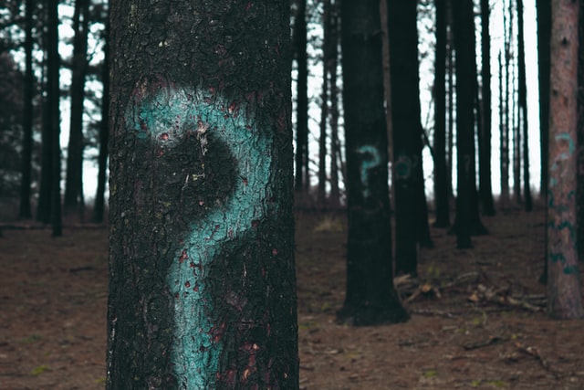 Como Funciona A Numerologia