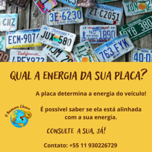 Consulta de Placa de Veículo